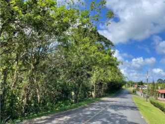 Rural paved road with greenery near Limón agricultural land for sale Panama