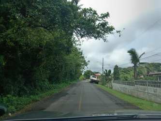 Narrow paved road with greenery and residential fence Limón Colón Panama