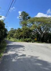 Roadside view with greenery, overhead power lines Limón agroforestry land sale Colón Panama