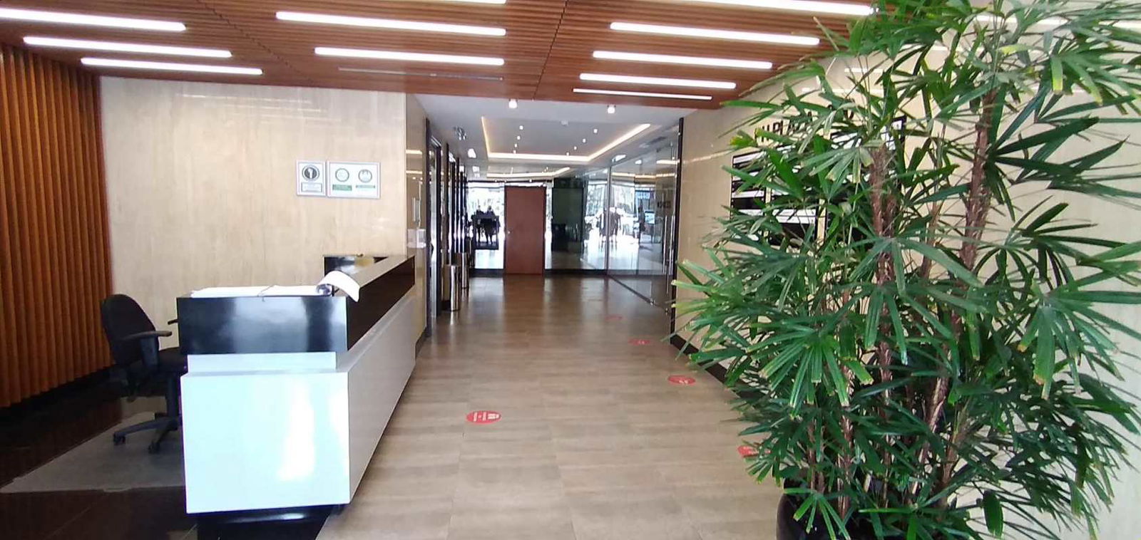 Spacious lobby with reception desk, glass walls, lighting and plants in Plaza 2000 Panama City