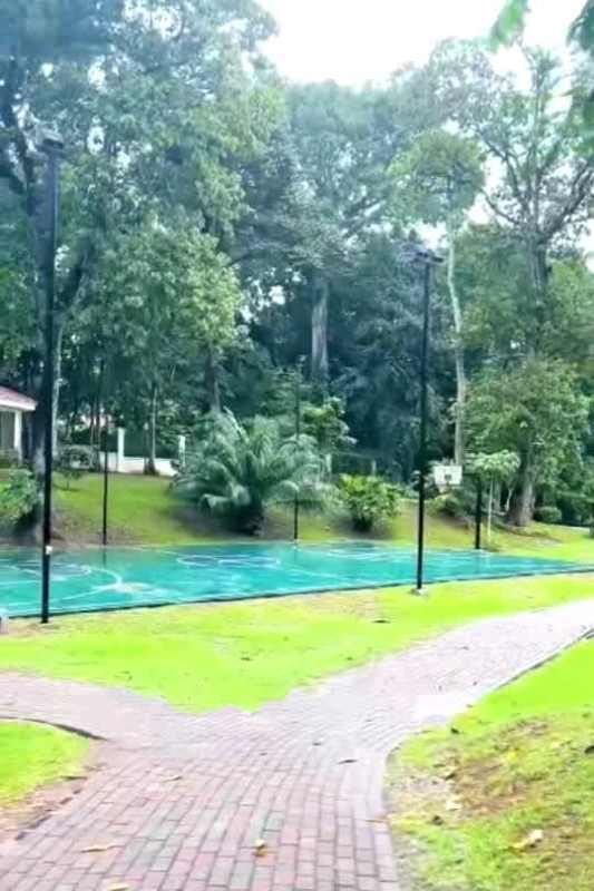 Sport amenities including basketball court surrounded by greenery at Senderos Camino de Cruces Clayton