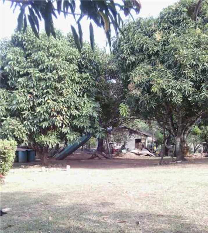 35 Hectares Flat Land for Residential Project Pacora Panama