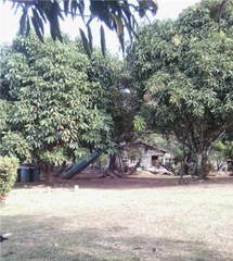 Land for Sale in 24 de Diciembre - 0 bedrooms