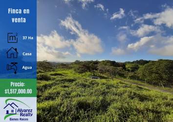 Panoramic view of hills, pasture, mature trees and sky daytime countryside ranch Chiriquí