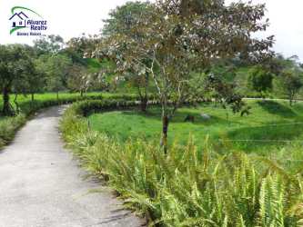 Curved paved driveway flanked by mature garden trees and natural landscape on private farm in Panama highlands