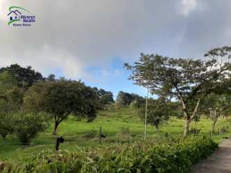 Mature trees, green hills, paved pathway on large countryside ranch estate in Volcán Panama