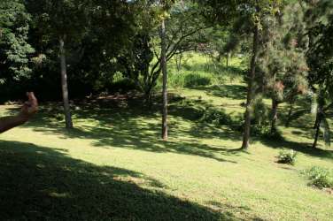 Shaded green yard with mature trees perfect for private development in Arraiján Panama