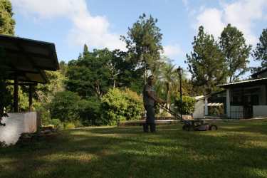 Single-story rural house on sloped grassy land with pine trees at Colinas de Cáceres Arraiján Panama