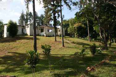 White one-story rustic house surrounded by grassy slope and mature trees in Arraiján Panama