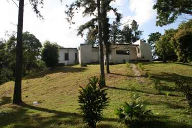 Expansive grassy lot with mature pine trees ideal for development in Arraiján Panama