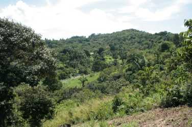 Forested hilly landscape with lush green views on 5 hectares in Arraiján Panama