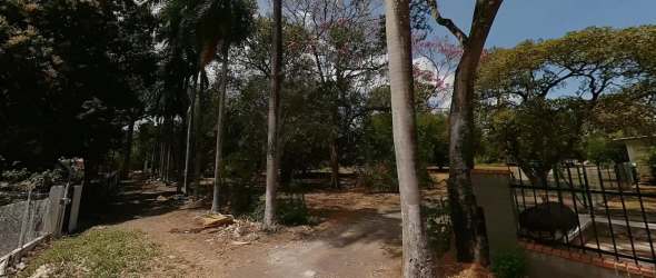 Flat beachfront land with mature trees fenced at Playa Serena Nueva Gorgona Panama