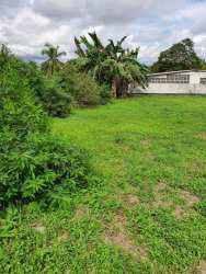 Open grassy area 500m2 fenced lot for rent Costa Verde La Chorrera