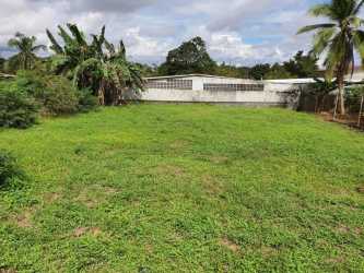Vacant fenced lot 500m2 near Costa Verde shopping La Chorrera for rent