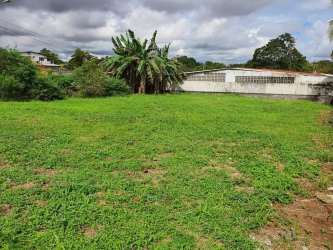 Flat grassy 500m2 fenced lot for rent in Costa Verde La Chorrera Panama