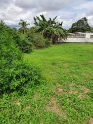 Open land with banana trees bushes and green grass fenced in Guadalupe Capira Panama