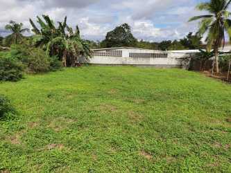 Open grassy plot with fence and banana trees in Guadalupe Capira Panama