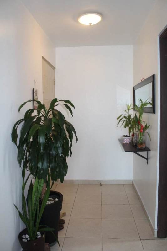 Modern kitchen with appliances and laundry area in PH 44 Park Bella Vista Panama