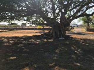 House for Sale in Penonomé - 4 bedrooms