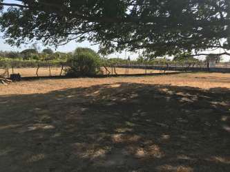 Open shaded land with tree and fenced boundary at residential property in Penonomé Penonomé Coclé