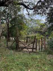Vacant land wooded lot with grass and electricity rural Chiriquí Panama