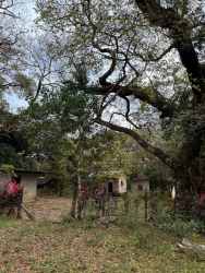 Natural forested zone with trees and greenery land for sale in Caldera Boquete Chiriquí Panama