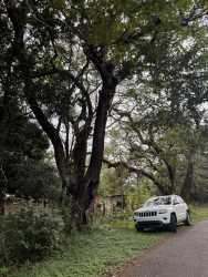 Large 11 Hectares of Land for Ranch or Agriculture in Caldera Boquete