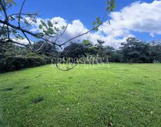 Buildable flat lot surrounded by dense trees in El Valle Coclé Panama for residential