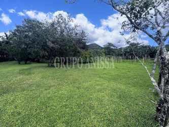 Green flat land plot with mountains in background El Valle Coclé Panama for sale