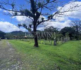 Land for Sale in Antón - 0 bedrooms