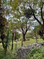 24 Hectares for Eco-Project in Boquete with Riverfront