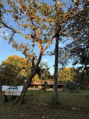 House for Sale in Las Lomas - 4 bedrooms