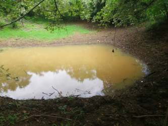 Natural muddy pond surrounded by bush and trees inside farm for sale in Panama
