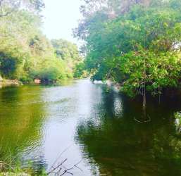 Beautiful riverbank of Rio La Villa surrounded by lush trees at cattle farm for sale Panama