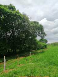 Dirt access road with wooden fence and trees leading to ranch farmland property sale