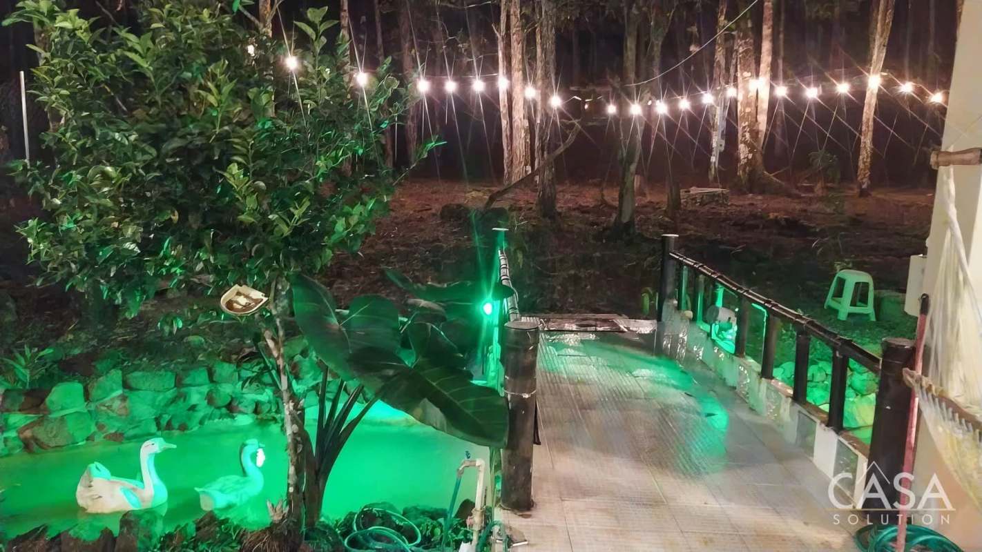 Lit decorative pond with ducks surrounded by forest and string lights in Cerro Azul mountain property