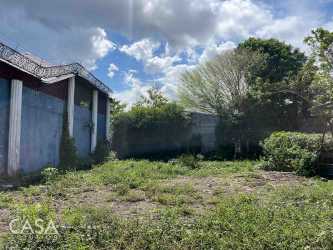 Vacant urban lot with greenery fenced next to existing construction Puerto Armuelles