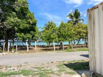 Tropical beachfront lot with trees fence and ocean in Puerto Armuelles Panama