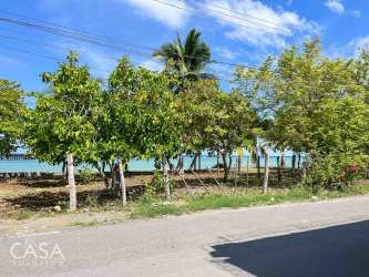 Beachfront tropical land with mature trees road and Pacific ocean Puerto Armuelles Panama
