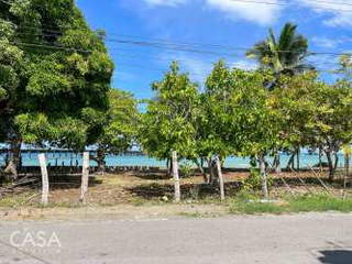 Land for Sale in Barú - 0 bedrooms