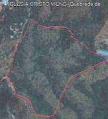 Land for Sale in Cerro de Paja - 0 bedrooms