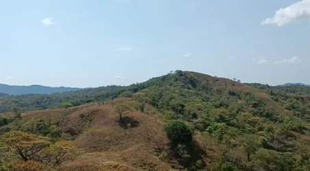 Aerial of green rolling hills and valleys with trees under a clear sky in Herrera province