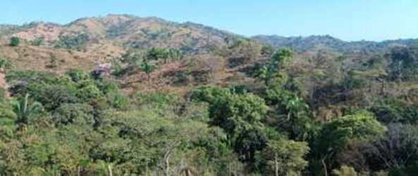Scenic view of hilly terrain, trees and blue sky rural countryside Herrera Panama