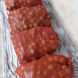 Farallon river bordering lime farm property Rio Hato Coclé panoramic view