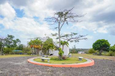 Expansive citrus farm landscape bordered by river and forest Rio Hato Panama