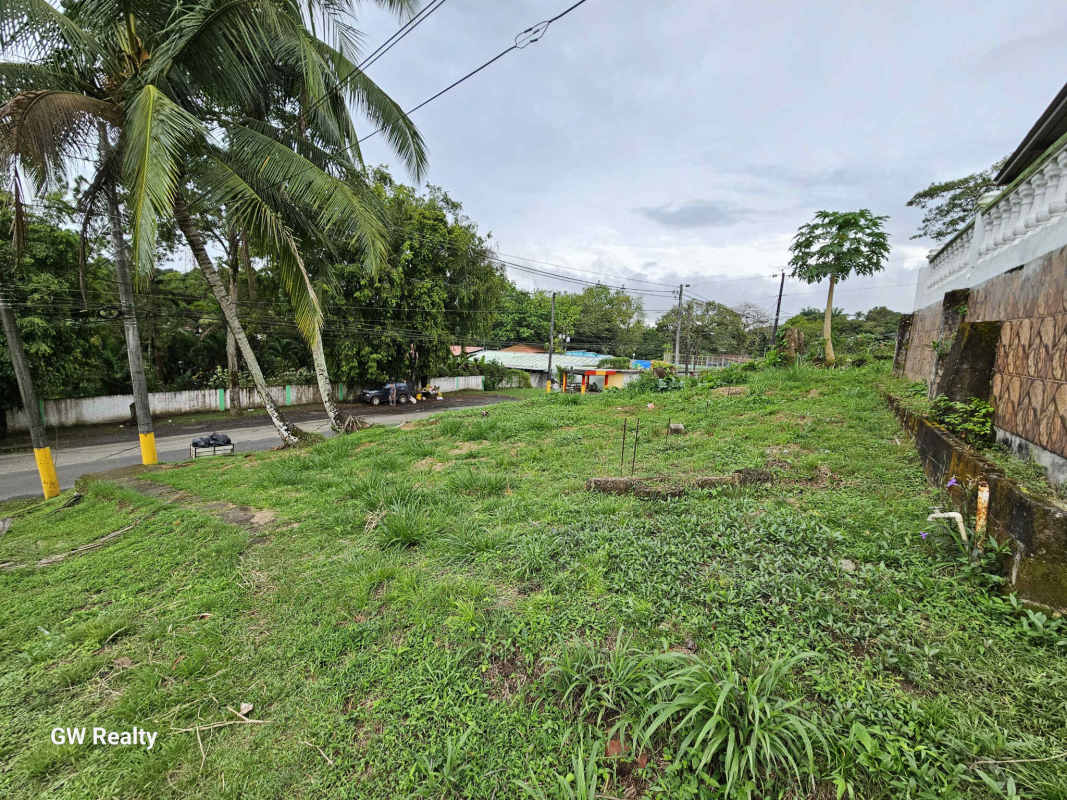 Vacant lot with mature trees corner of main street Alcalde Díaz Panama