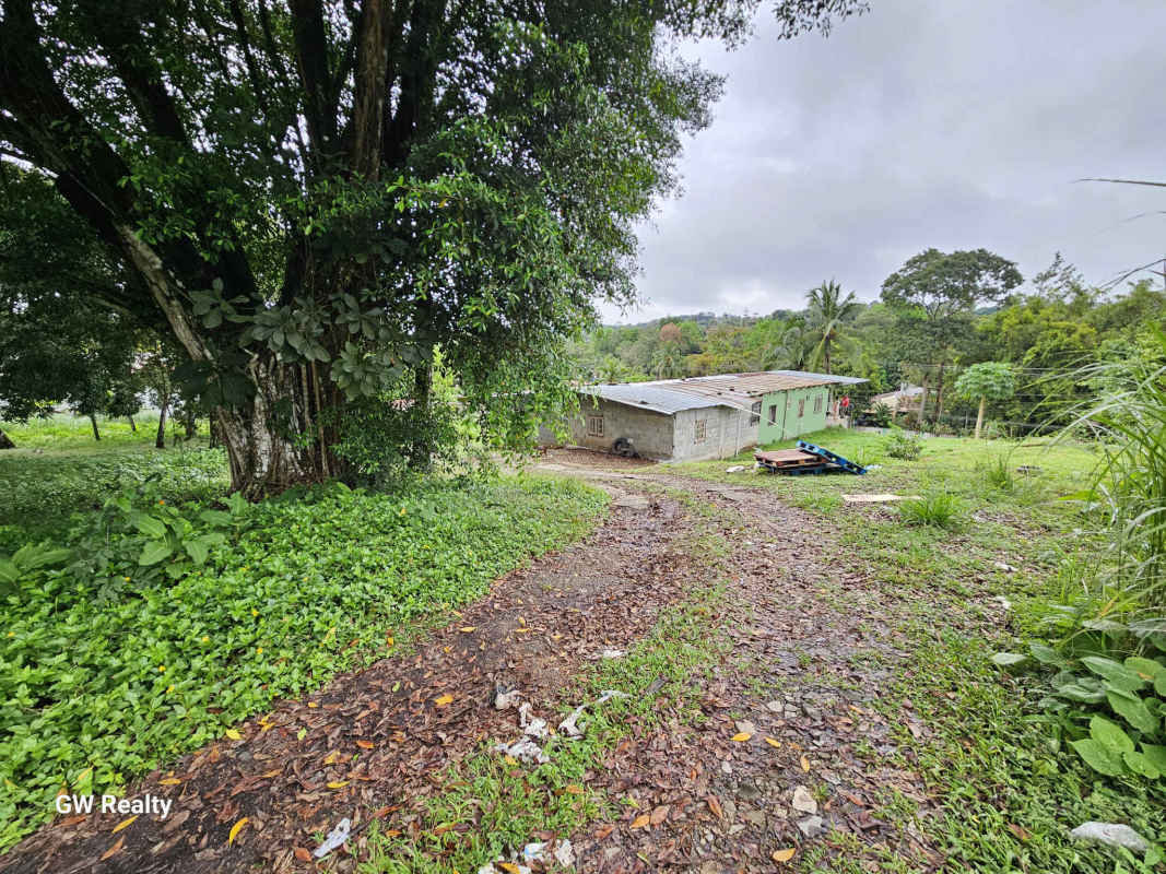 Large green space with trees and street access Alcalde Díaz Panama