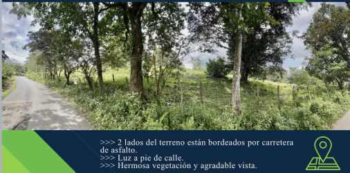 Lush green land lot bordered by asphalt roads on corner location in Santa Fe Veraguas Panama