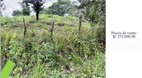 Vacant grassy land with rustic wooden fencing and scattered trees in Santa Fe Veraguas