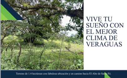Green tree-filled 1.4 hectare plot of land for sale in Veraguas highlands Panama near El Alto